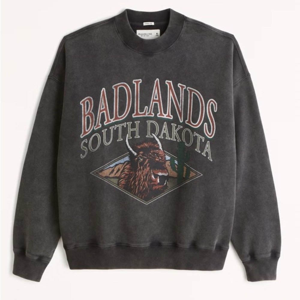 Abercrombie Oversized Crewneck Sweater